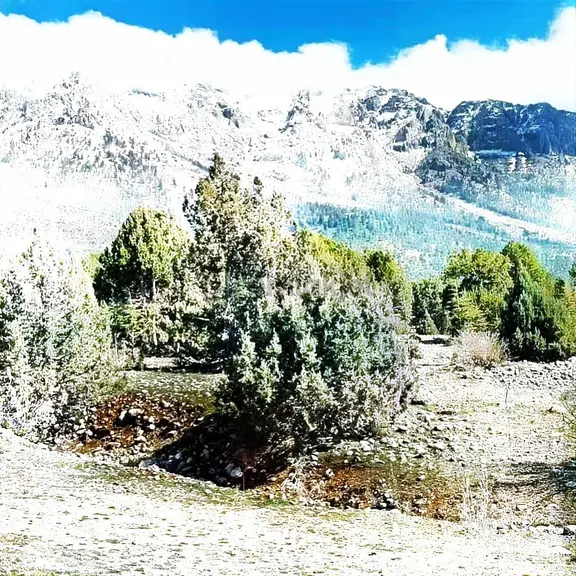 Kar Emlaktan Aşçıbekirli Fenese Mevkiinde 400 M2 Satılık Arsa 2