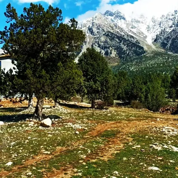 Kar Emlaktan Aşçıbekirli Fenese Mevkiinde 400 M2 Satılık Arsa 1