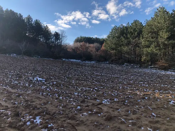 Şarköy De Işık Emlaktan Cengelli Mah De 5000 M2 Tarla 2