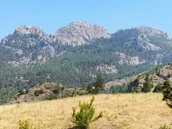 Kar Emlaktan Eskikonacıkta 500m2 Satılık Arsa 1