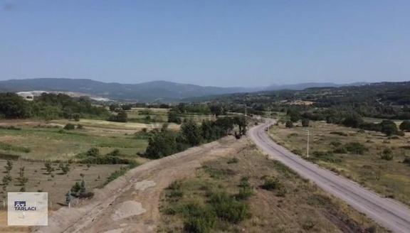 Öztarlacıdan Döllük 10397 M2 Satılık Ceviz Bahçesi 2