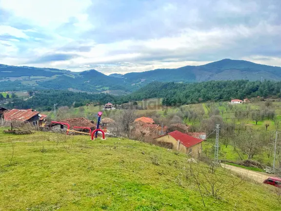 Sakarya / Geyve / Çamlık Mahallesi 🌿 Köy Merkezine Çok Yakın, Resmi Yola Cepheli 2 Arsa 1