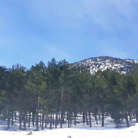 Kar Emlaktan Yenikonacık Bozkırlı Mevkiinde 400 M2 Satılık Arsa 2