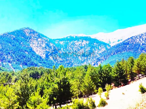 Kar Emlaktan Yenikonacık Efes Sitesi Yanı 500 M2 Satılık Arsa 1