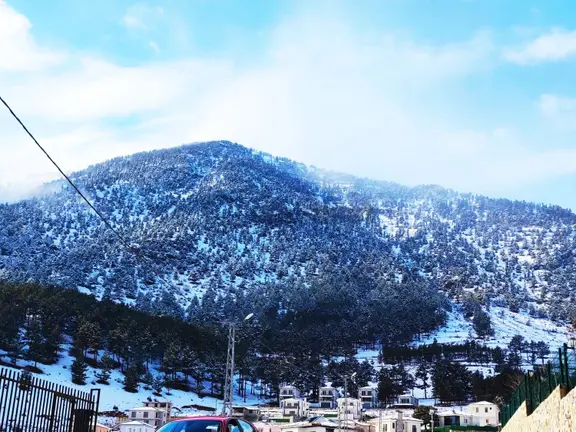 Kar Emlaktan Yenikonacık Bozkırlı Mevkiinde 450 M2 Satılık Arsa 1