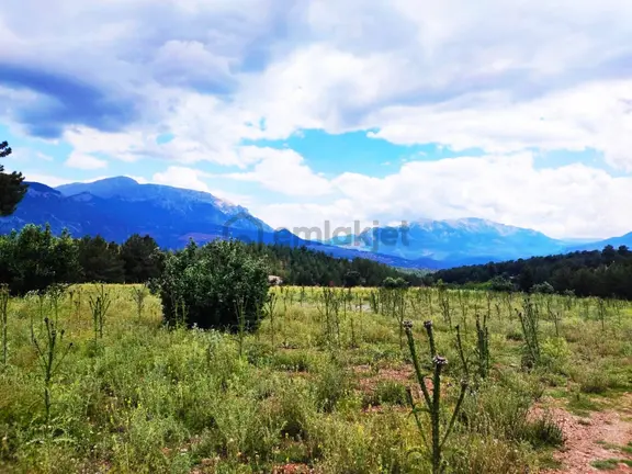 Kar Emlaktan Alpu Yayllasında Yüksek Konumlu 500 M2 Satılık Arsa 2