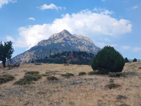 Kar Emlaktan Hamidiye Köyünde 460 M2 Satılık Arsa 2