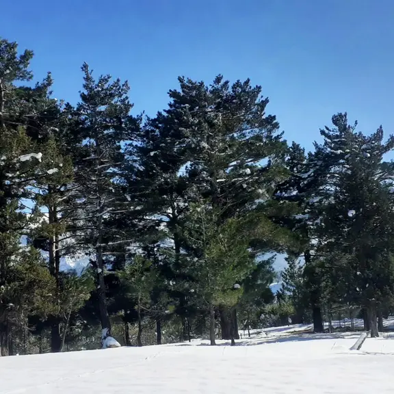 Kar Emlaktan Yenikonacık Körmenlik Mevkiinde 570 M2 Satılık Arsa 2