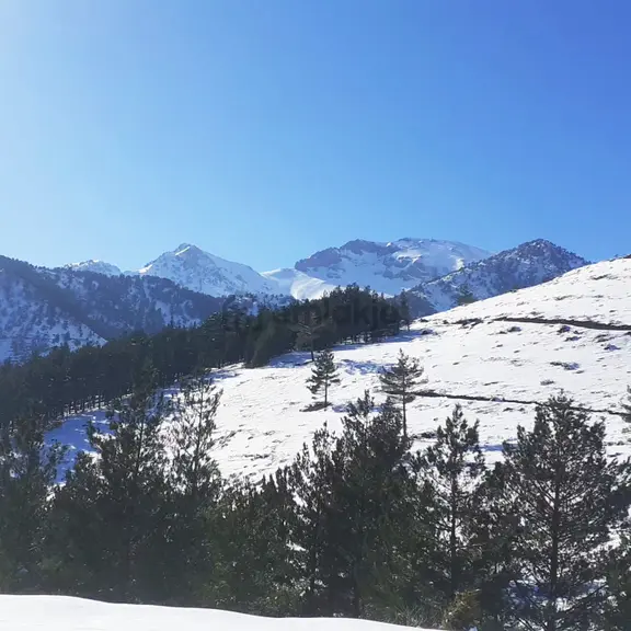 Kar Emlaktan Yenikonacık Körmenlik Mevkiinde 570 M2 Satılık Arsa 1
