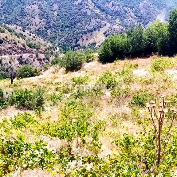 Kar Emlaktan Ömerli Köyüde 1400 M2 Satılık Bahçe 1
