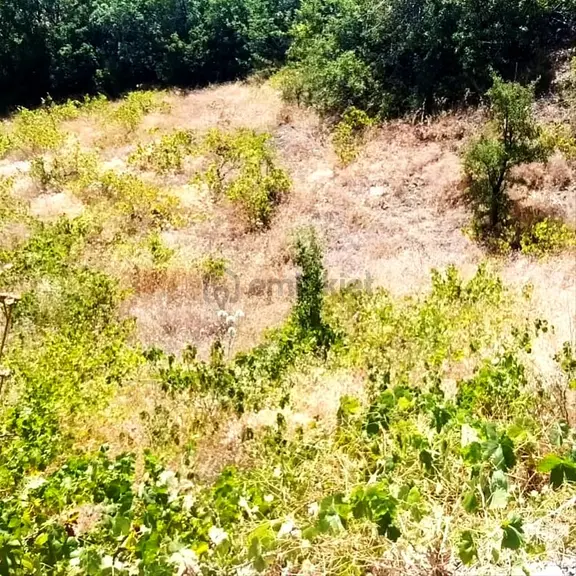 Kar Emlaktan Ömerli Köyüde 1400 M2 Satılık Bahçe 2