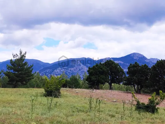 Kar Emlaktan Alpu Yaylasında 500 M2 Satılık Arsa 2