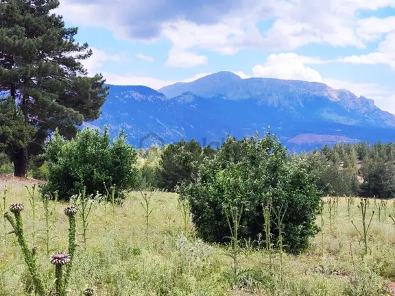 Kar Emlaktan Alpu Yaylasında 500 M2 Satılık Arsa 1