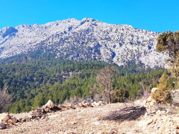 Kar Emlaktan Alpu Yaylasında 480 M2 Satılık Arsa 2