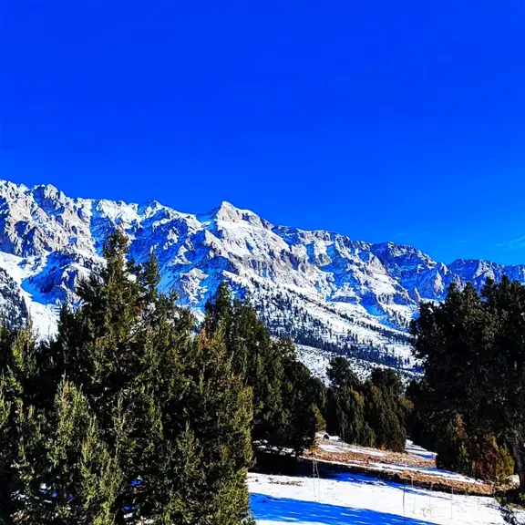 Kar Emlaktan Aşçıbekirli Fenese Mevkiinde 400 M2 Satılık Arsa 1