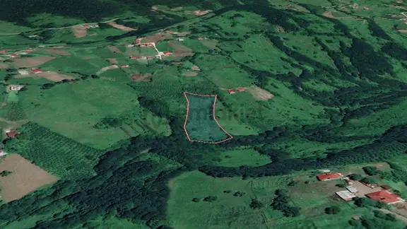 Akkuş'ta 5762 M², Değerli Toprak Fırsatı! 2