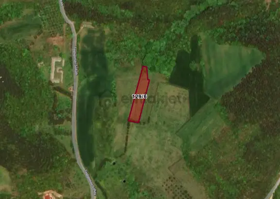 Yalova Çiftlikköy Kabaklı Köyünde 2.532 M² Tarla Satılıktır 1