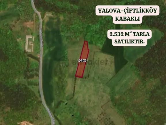Yalova Çiftlikköy Kabaklı Köyünde 2.532 M² Tarla Satılıktır 2