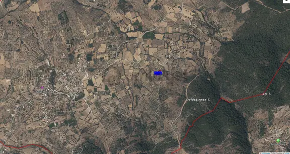 Muğla Milas Söğütçük Te 1.300 M2 Zeytinlik Yola Sıfır İçinde 1 Adet Konteynir Mevcut