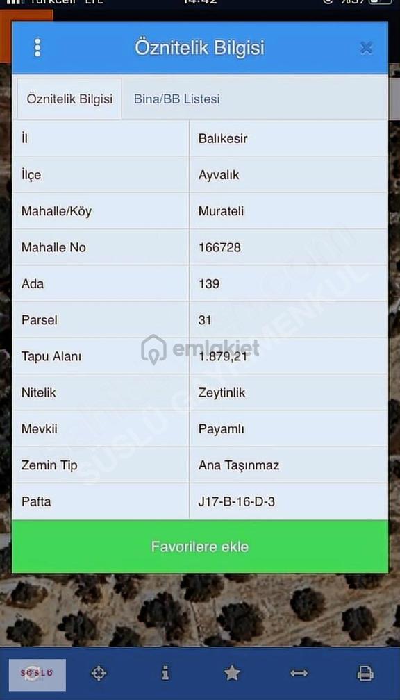 Ayvalik Muratelinde Satılık Zeytinlik 2