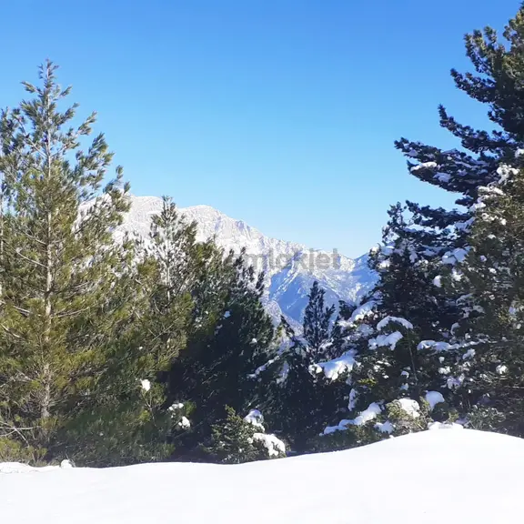 Kar Emlaktan Yenikonacık Körmenlik Mevkiinde 570 M2 Satılık Arsa 2