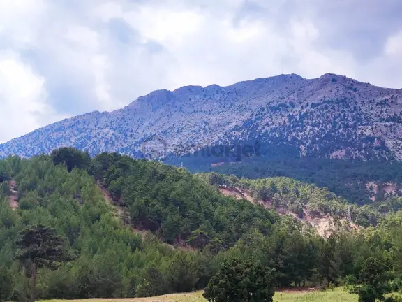 Kar Emlaktan Alpu Yaylasında 500 M2 Satılık Arsa 2