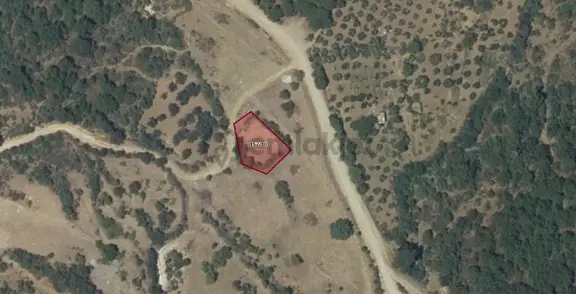 Sahibinden Acil Satılık Balikesir Havran Kocadağ Mah 636.49m2 Zeytinlik 2