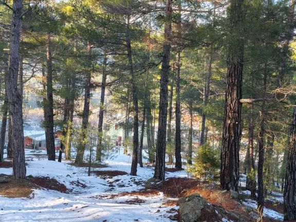 Kar Emlaktan Eski Konacıkta 1 Dönüm Satılık Arsa 1