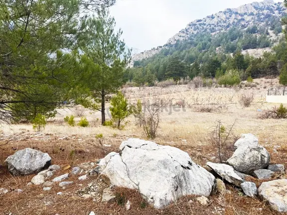 Kar Emlaktan Alpu Yaylasında 400 M2 Satılık Arsa 2
