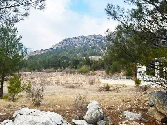 Kar Emlaktan Alpu Yaylasında 400 M2 Satılık Arsa 1