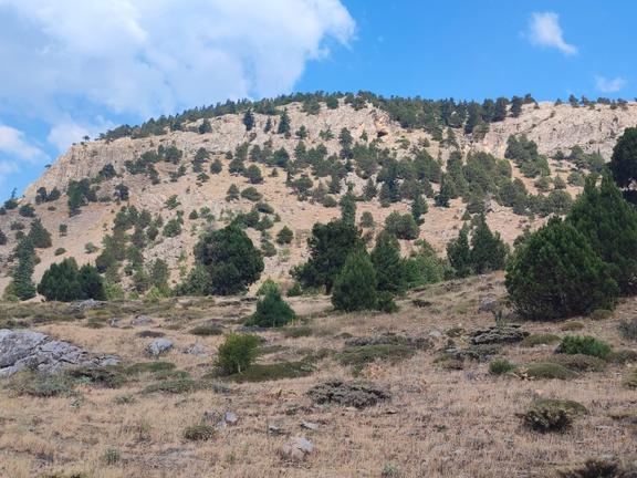 Kar Emlaktan Hamidiye Köyünde 460 M2 Satılık Arsa 2