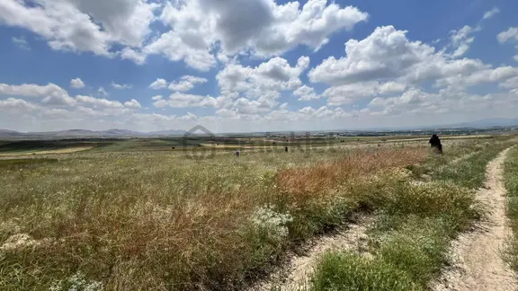 Meram Güneydere Botsa Mahallesi 2500m2 Müstakil Tarla 1