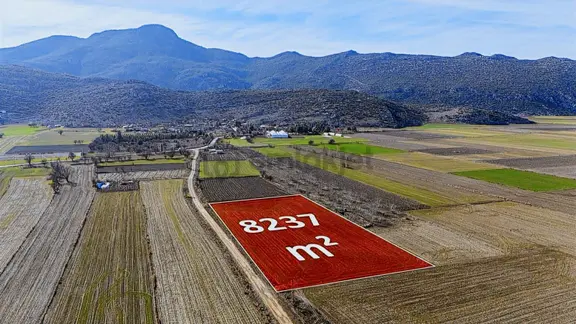 Burdur Bucak Karaaliler Köyü^nde 8237 M2 Satılık Tek Tapu Tarla 2