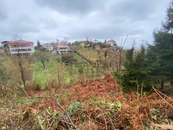 Trabzon Beşikdüzünde Satılık Deniz Manzaralı Villalık Arazi Pazarlıksız 2