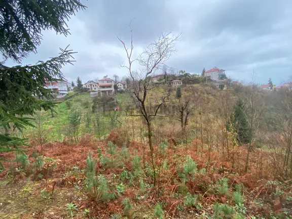 Trabzon Beşikdüzünde Satılık Deniz Manzaralı Villalık Arazi Pazarlıksız 1