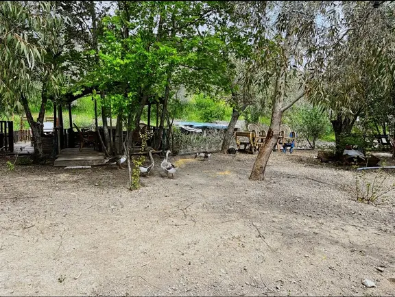 Adatepe Mıhlı Şelale Yolu Dere Ve Şelaleli Zeytinlik 11.738 M2 1