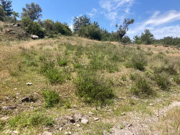 Muğla Bodrum Satılık Kelepir Tarla 2