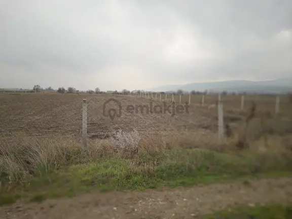 Aslan Emlak Gayrimenkulden Bozüyük 'de Satılık Tarla 1