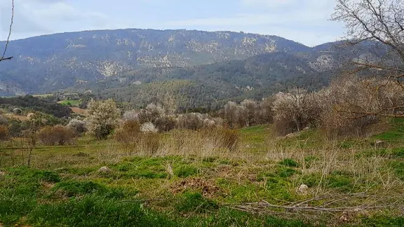 **fırsat** Göynük Çaylak Köy İçi İmarlı 2 Adet Parsel 4050 M2 2