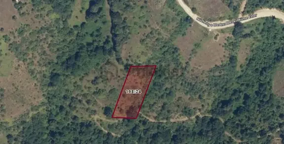 Gölcük Nüzhetiye'de Satılık 2605 M2 Doğa Manzaralı Yatırımlık Tarla 1