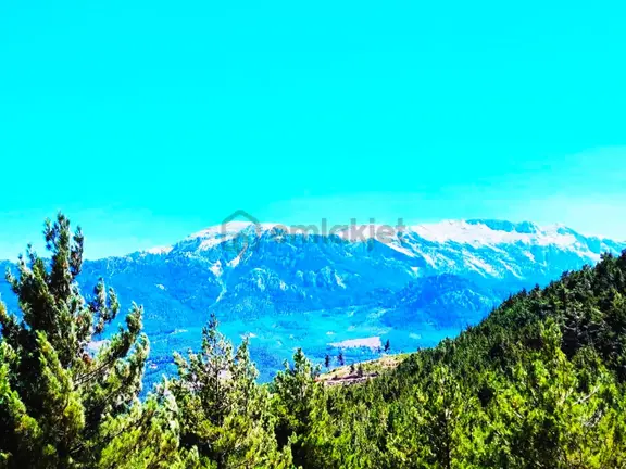 Kar Emlaktan Yenikonacık Efes Sitesi Yanı 500 M2 Satılık Arsa 1