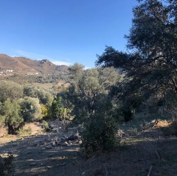 Bodrum İslamhaneleri 19000 M2 Yatırım İçin Mükemmel Fırsat 2