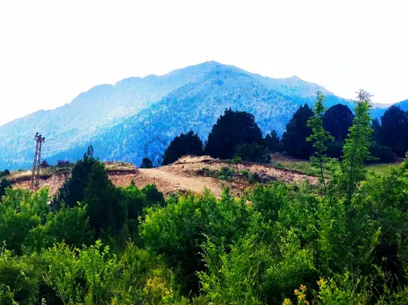 Kar Emlaktan Alpu Radar Yolunda 400 M2 Satılık Arsa 1