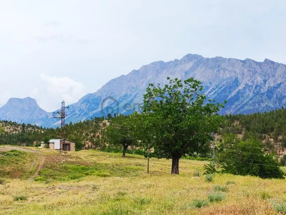 Kar Emlaktan Kamışlı Yaylasında İmara Uygun 1650 M2 Satılık Tarla 1