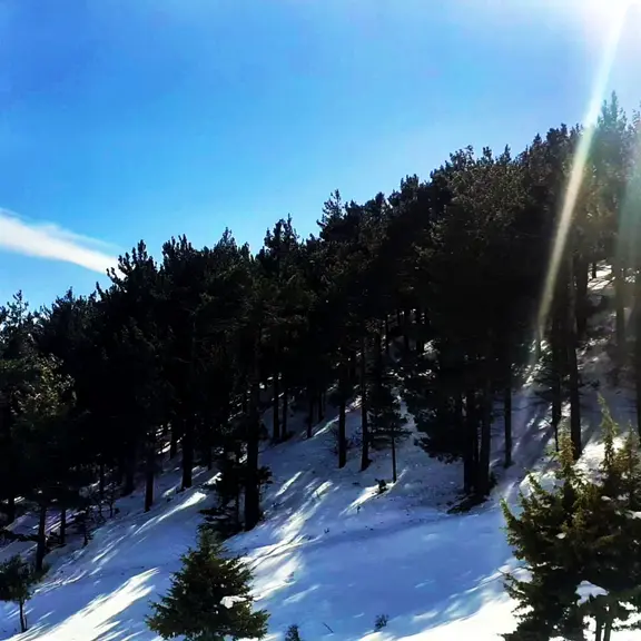 Kar Emlaktan Yenikonacık Bozkırlı Mevkiinde 400 M2 Satılık Arsa 2