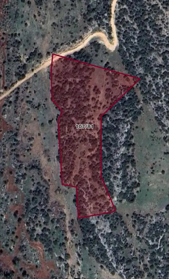 Beymahall Gayrimenkul'den Yeşilce'de Yarırımlık Arazi 1