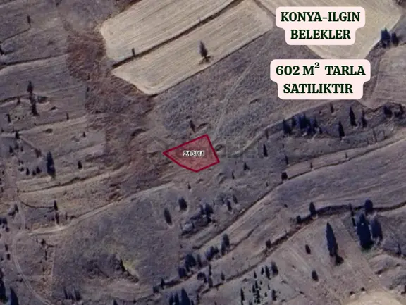 Konya Ilgın Belekler Köyünde 602 M² Tarla Satılıktır 2