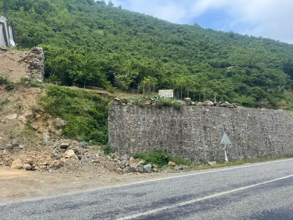 İnanç Emlaktan Uzkara Köyünde Satılık 4656 M2 Fındık Bahçesi 2