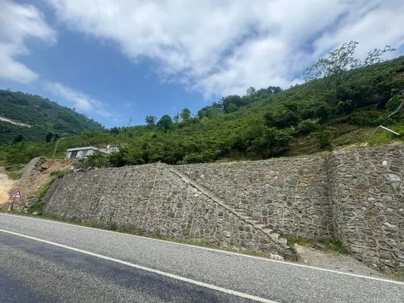 İnanç Emlaktan Uzkara Köyünde Satılık 4656 M2 Fındık Bahçesi 1