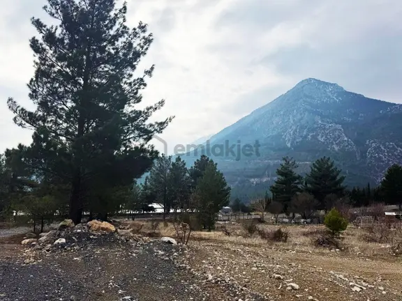 Kar Emlaktan Alpu Yaylasında 400 M2 Satılık Arsa 1